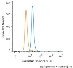 Calreticulin Antibody (1G6A7), FITC, Novus Biologicals 0.1mL; FITC:Antibodies,